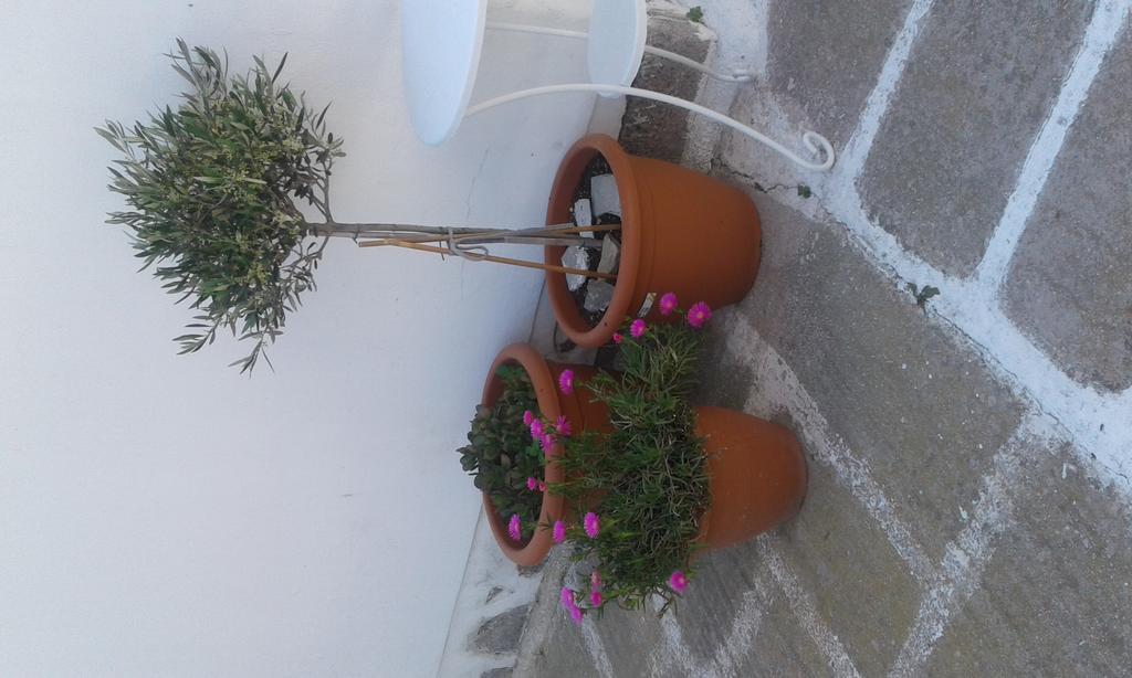 Angela'S Rooms Mykonos Town Экстерьер фото